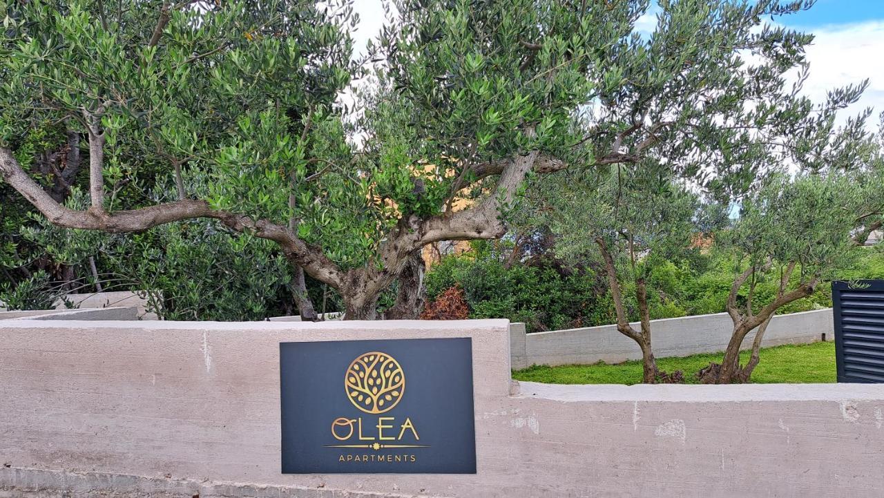 Apartment Olea *