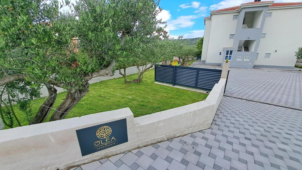 Olea