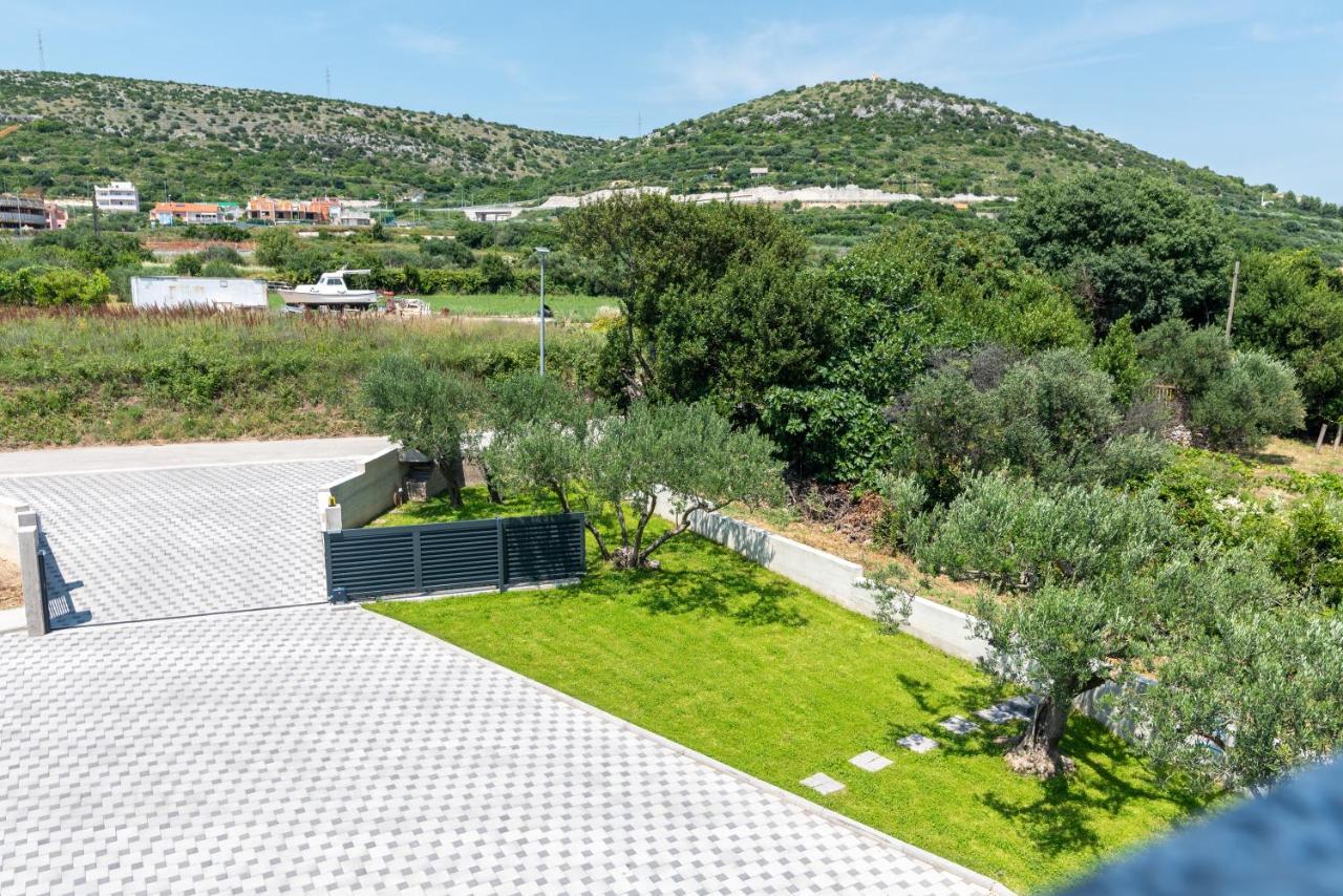 Olea