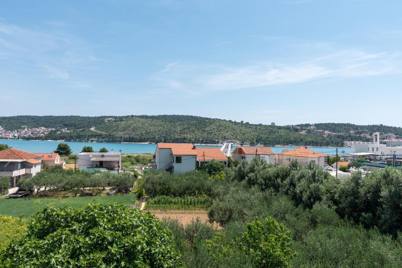 Olea